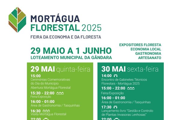 cartaz_mf_versao_final