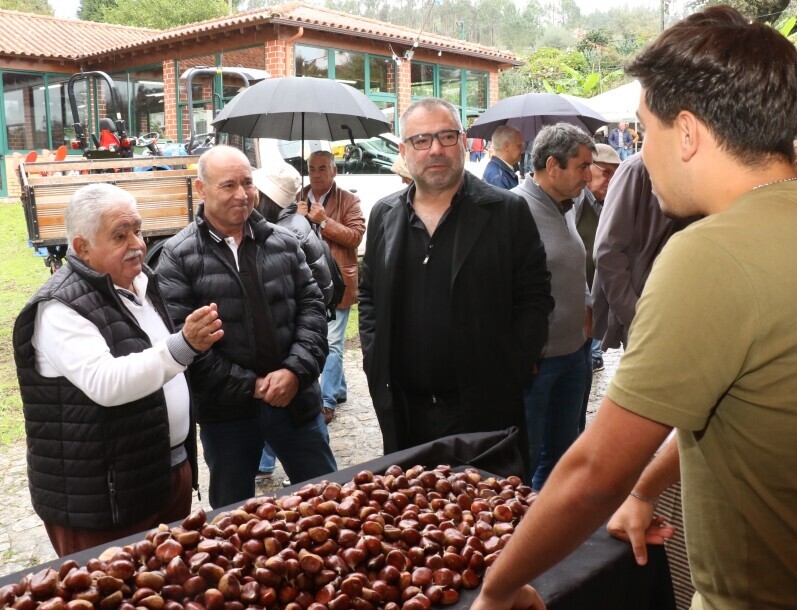 Quilho - XVI Feira da Castanha promoveu produtos de Outono e gastronomia tradicional 
