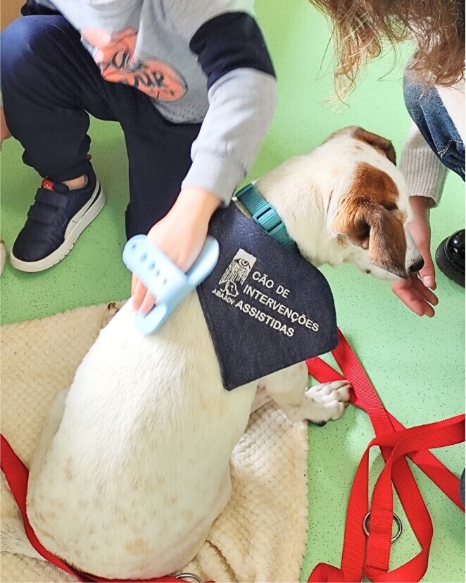 Projeto “Vai Cãomigo” apoia alunos  com necessidades especiais 