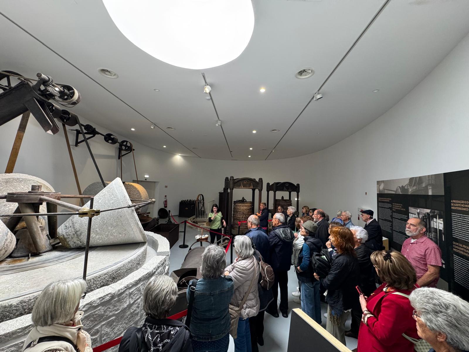 Alunos da Academia Saber+ visitaram Museu do Azeite e Ruínas Romanas da Bobadela, em Oliveira do ...