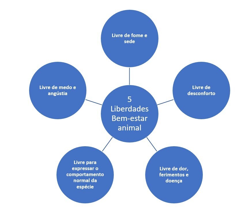 Cinco Liberdades do Bem-Estar animal