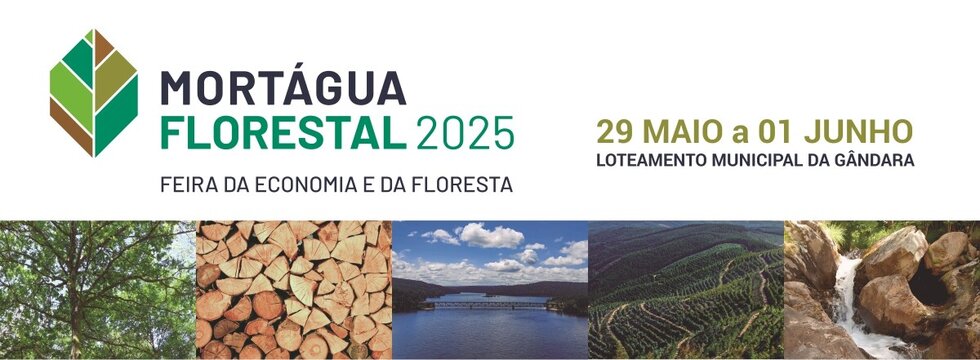 Banner_MRT_Florestal25