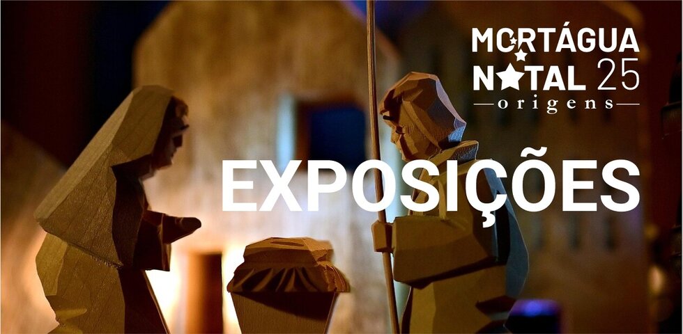 5_Banner_Exposicores