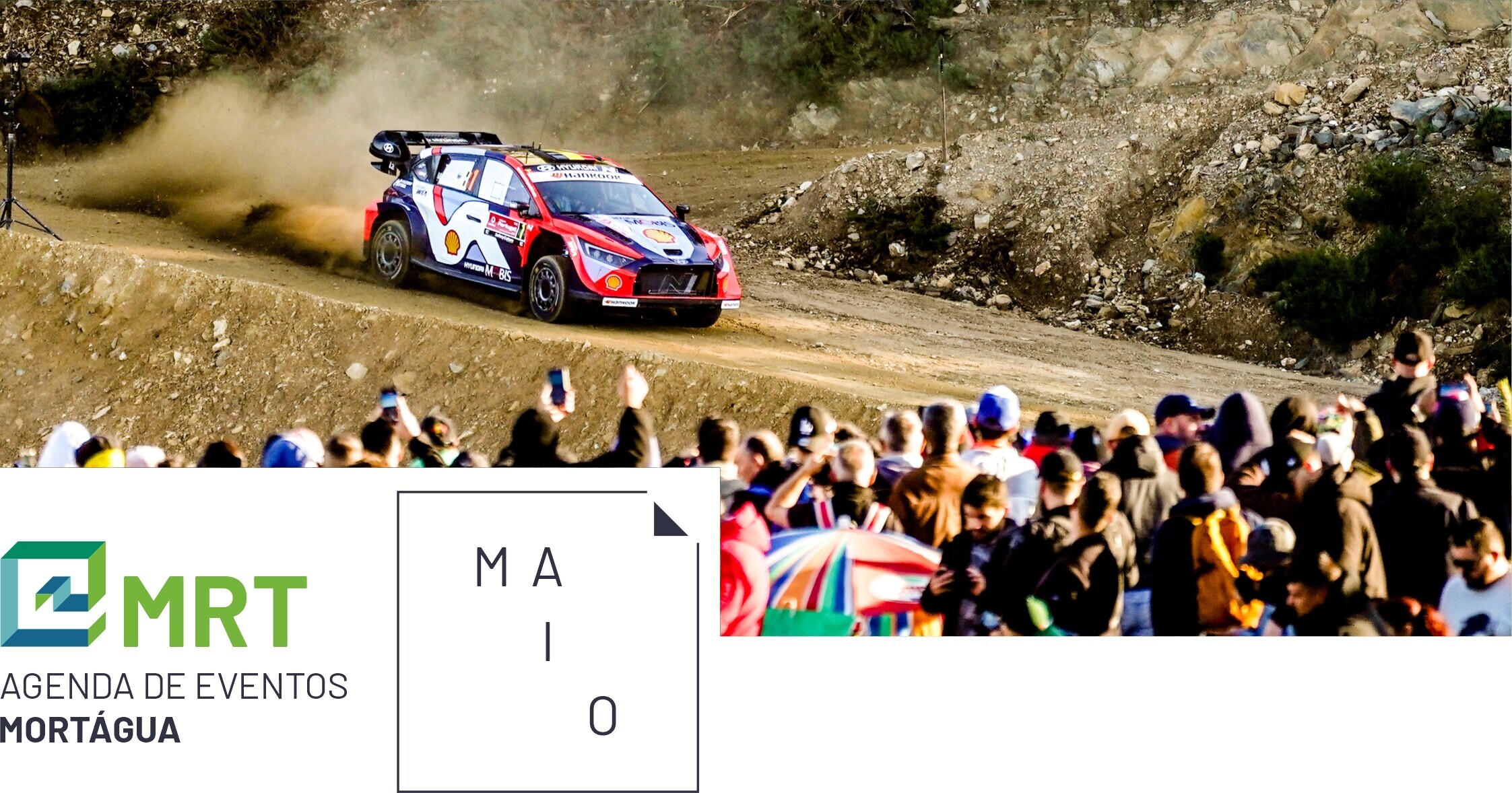 202605_Banner